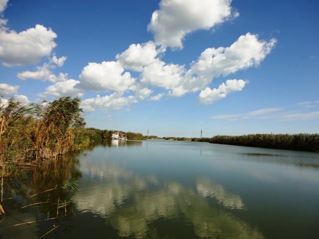 Doar ... NATURA - 3 - dsc00768.JPG